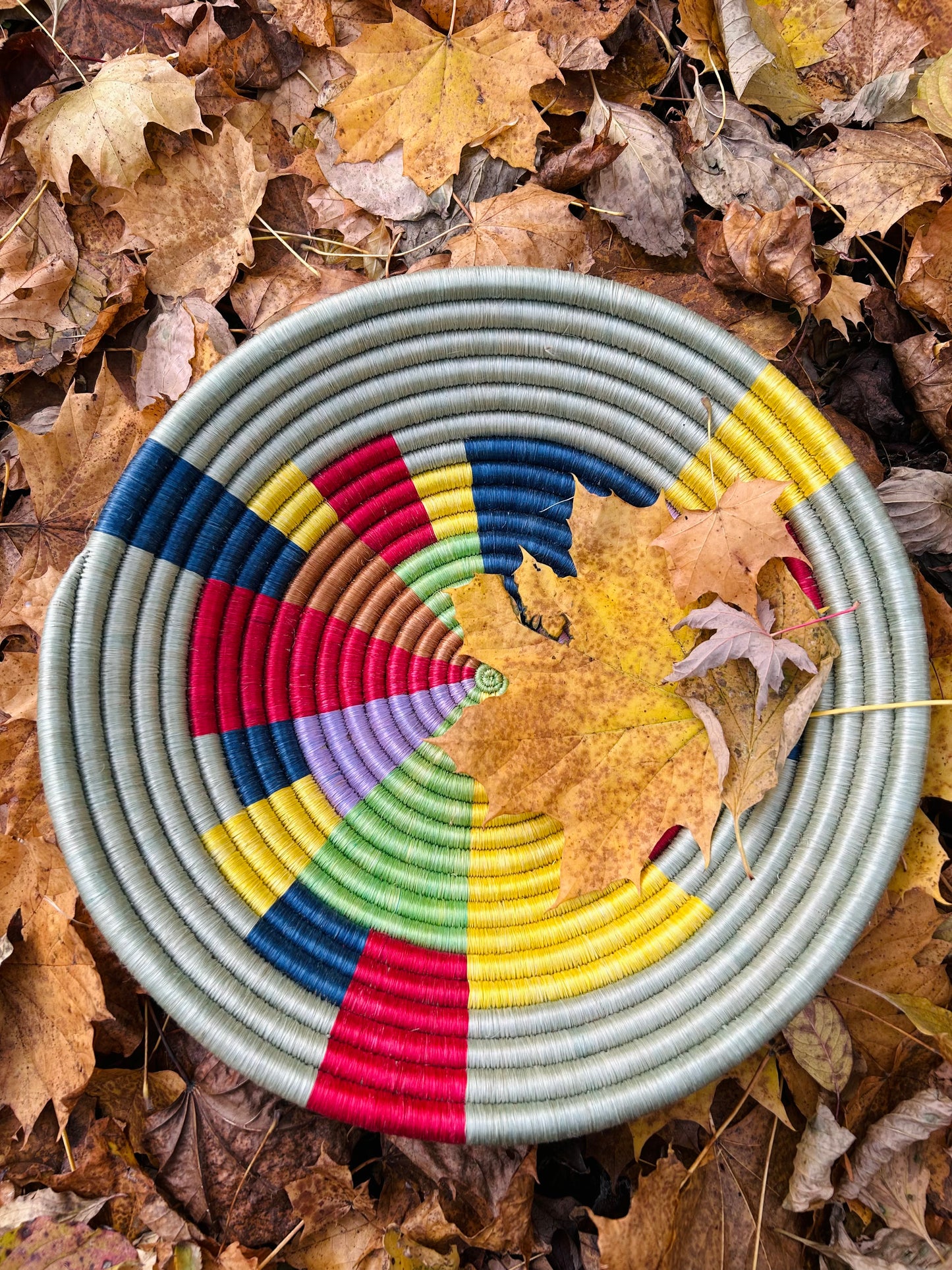 Rainbow Schale